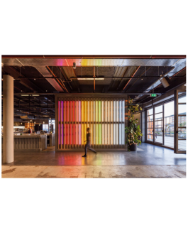 In Re, In The Matter Of